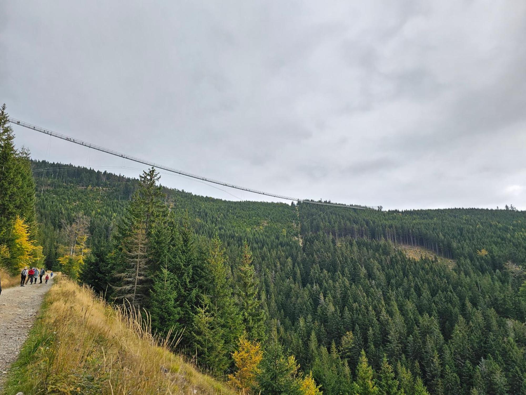 Domki Pod Lasem - Domek Brzozowy Stronie Śląskie Exterior foto
