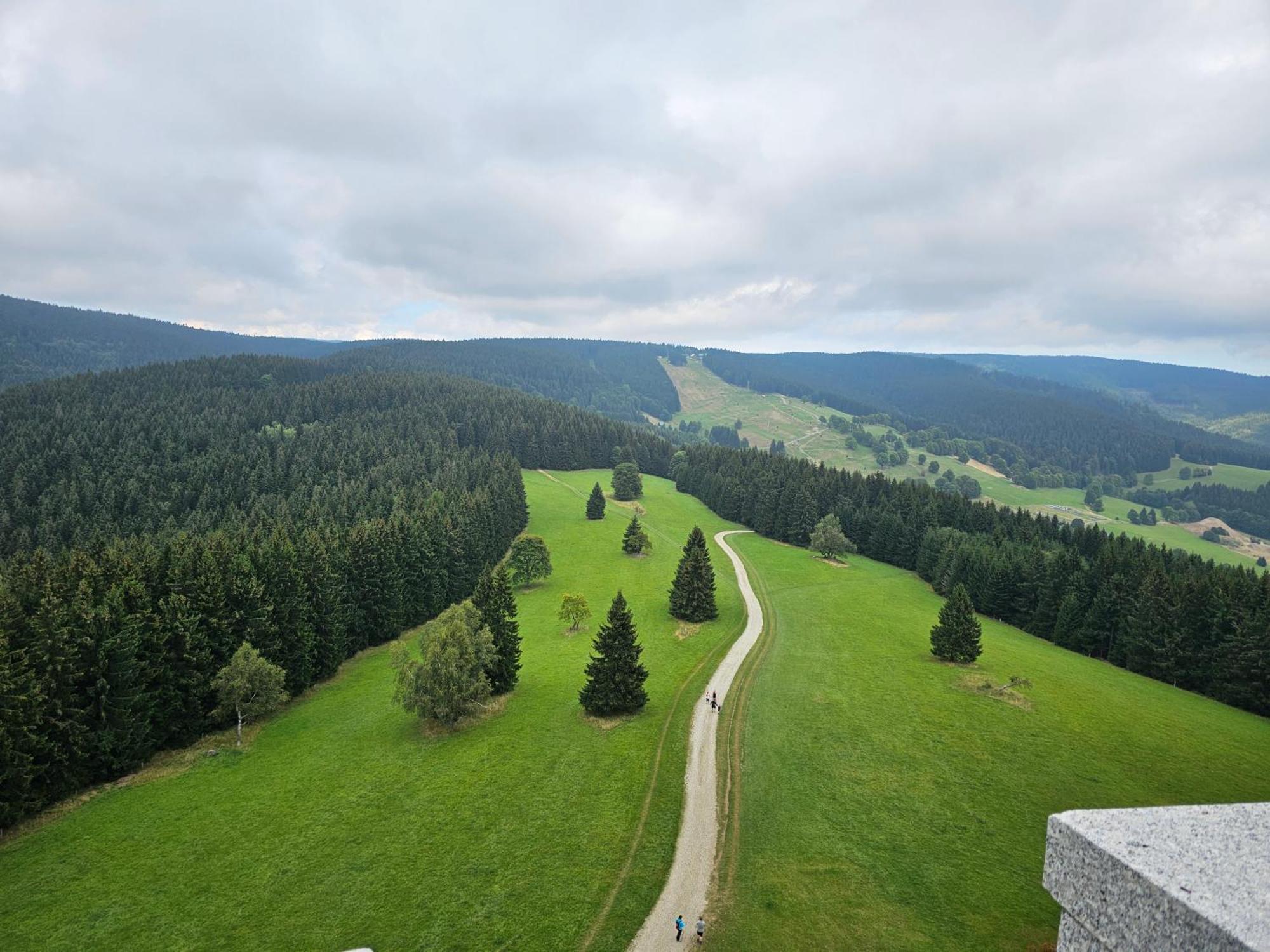 Domki Pod Lasem - Domek Brzozowy Stronie Śląskie Exterior foto